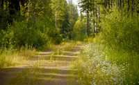 Blog Images-Posted
