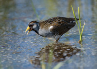 Sora & Snail_JFF4559
