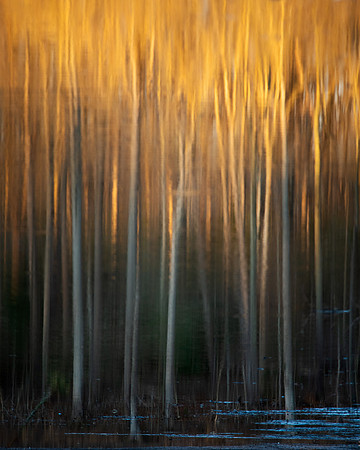 Winter Fire_J1F0716